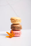 3 macarons stacked on each other with orange flower besides it. On the background the backdrop old white wall with chipped vinyl print is used. 
