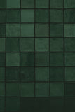 Green Portuguese Tiles Backdrop