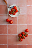 Portuguese tiles terracotta printed in high quality vinyl for food photography