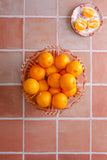 Portuguese tiles terracotta printed in high quality vinyl for food photography