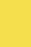 Flatlay Yellow Backdrop