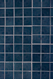 Asian Tiles Blue Backdrop